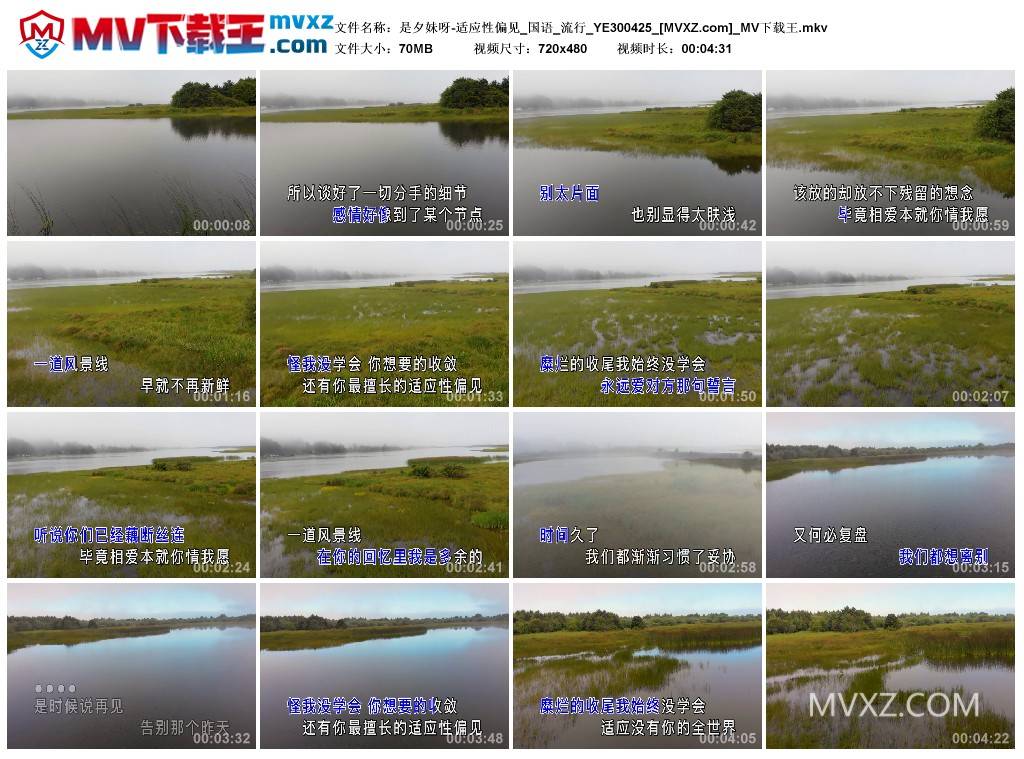 是夕妹呀-适应性偏见_国语_流行_YE300425